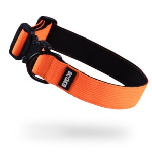 paslanmaz çelik tokalı köpek tasması, taktik boyun tasması, yüksek kalite köpek tasması, dayanıklı köpek boyun tasması, metal tokalı köpek tasması, köpek eğitim tasması, profesyonel köpek ekipmanları, k9 taktik tasma, köpek kontrol tasması, köpek aksesuarları, köpek gezdirme tasması, malinois tasma, Eyüp Doğan köpek ürünleri