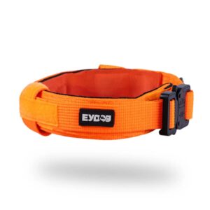 taktik boyun tasması, yüksek kaliteli köpek tasması, askeri tip köpek tasması, profesyonel köpek tasması, köpek boyun tasması, dayanıklı köpek ekipmanları, köpek eğitim tasması, köpek kontrol tasması, köpek aksesuarları, malinois tasma, k9 taktik tasma, köpek eğitim ekipmanı, köpek gezdirme tasması, Eyüp Doğan köpek ürünleri