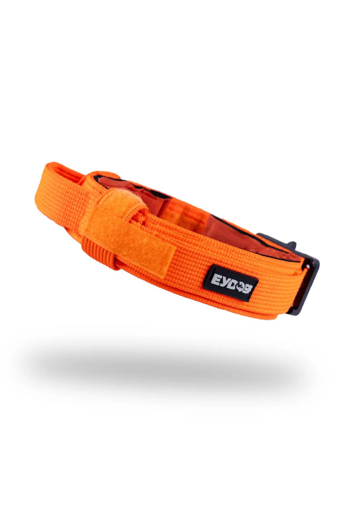 taktik boyun tasması, yüksek kaliteli köpek tasması, askeri tip köpek tasması, profesyonel köpek tasması, köpek boyun tasması, dayanıklı köpek ekipmanları, köpek eğitim tasması, köpek kontrol tasması, köpek aksesuarları, malinois tasma, k9 taktik tasma, köpek eğitim ekipmanı, köpek gezdirme tasması, Eyüp Doğan köpek ürünleri