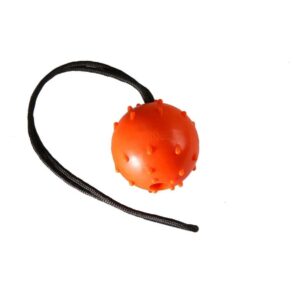 köpek oyun topları, 6 cm köpek topu, dayanıklı köpek topu, köpek eğitim topu, köpek oyun ekipmanları, köpek oyuncakları, küçük köpek topu, profesyonel köpek eğitimi topu, k9 oyun topu, malinois oyun topu, köpek egzersiz topu, Eyüp Doğan köpek ürünleri