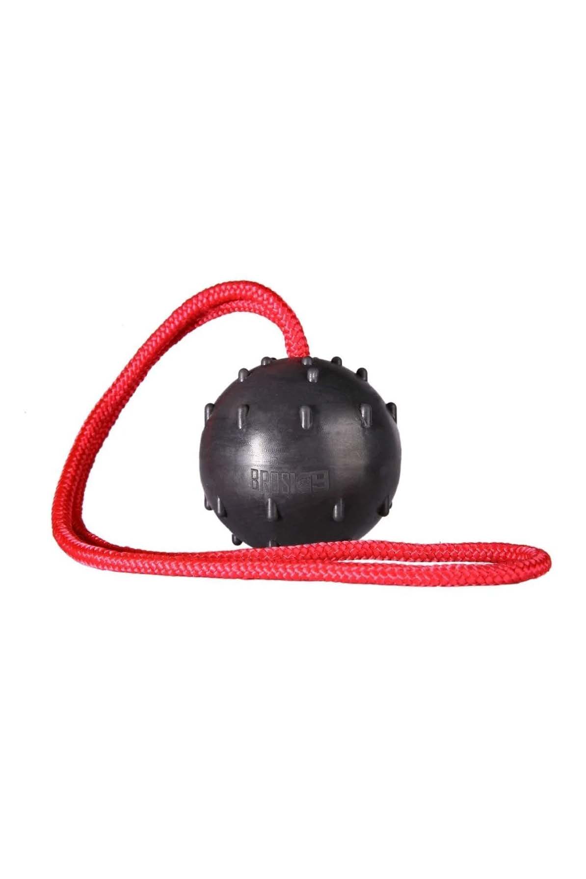 köpek oyun topları, 6 cm köpek topu, dayanıklı köpek topu, köpek eğitim topu, köpek oyun ekipmanları, köpek oyuncakları, küçük köpek topu, profesyonel köpek eğitimi topu, k9 oyun topu, malinois oyun topu, köpek egzersiz topu, Eyüp Doğan köpek ürünleri