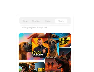 eyüp doğan, köpek eğitmeni eyüp doğan, eyüp doğan köpek eğitimi, köpek eğitimi istanbul, belçika malinois eğitimi, temel itaat eğitimi, ileri itaat eğitimi, yavru köpek eğitimi, koruma köpeği eğitimi, profesyonel köpek eğitmeni, köpek davranış uzmanı, köpek sahiplenme, köpek sosyalleşme, köpek tuvalet eğitimi, puppy malinois tr, eyüp doğan youtube, eyüp doğan instagram